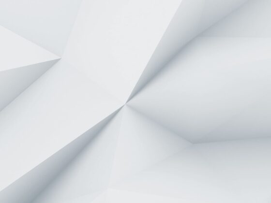 demo image 00006