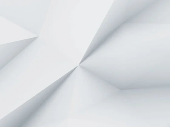 demo image 00006
