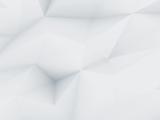 demo image 00001
