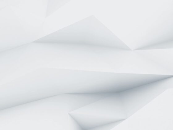 demo image 00004