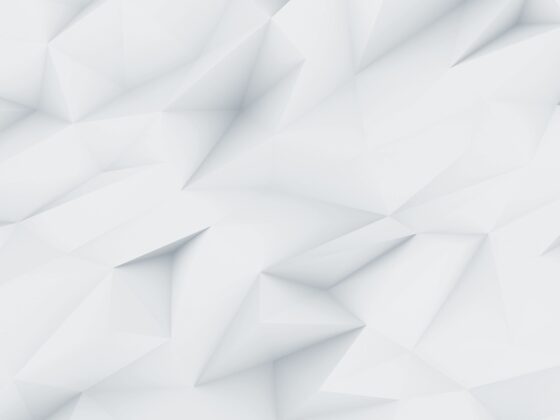 demo image 00002