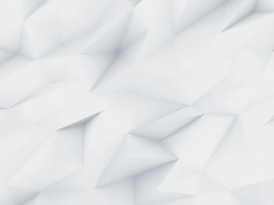 demo image 00002