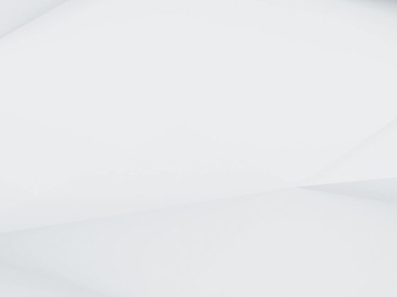 demo image 00005